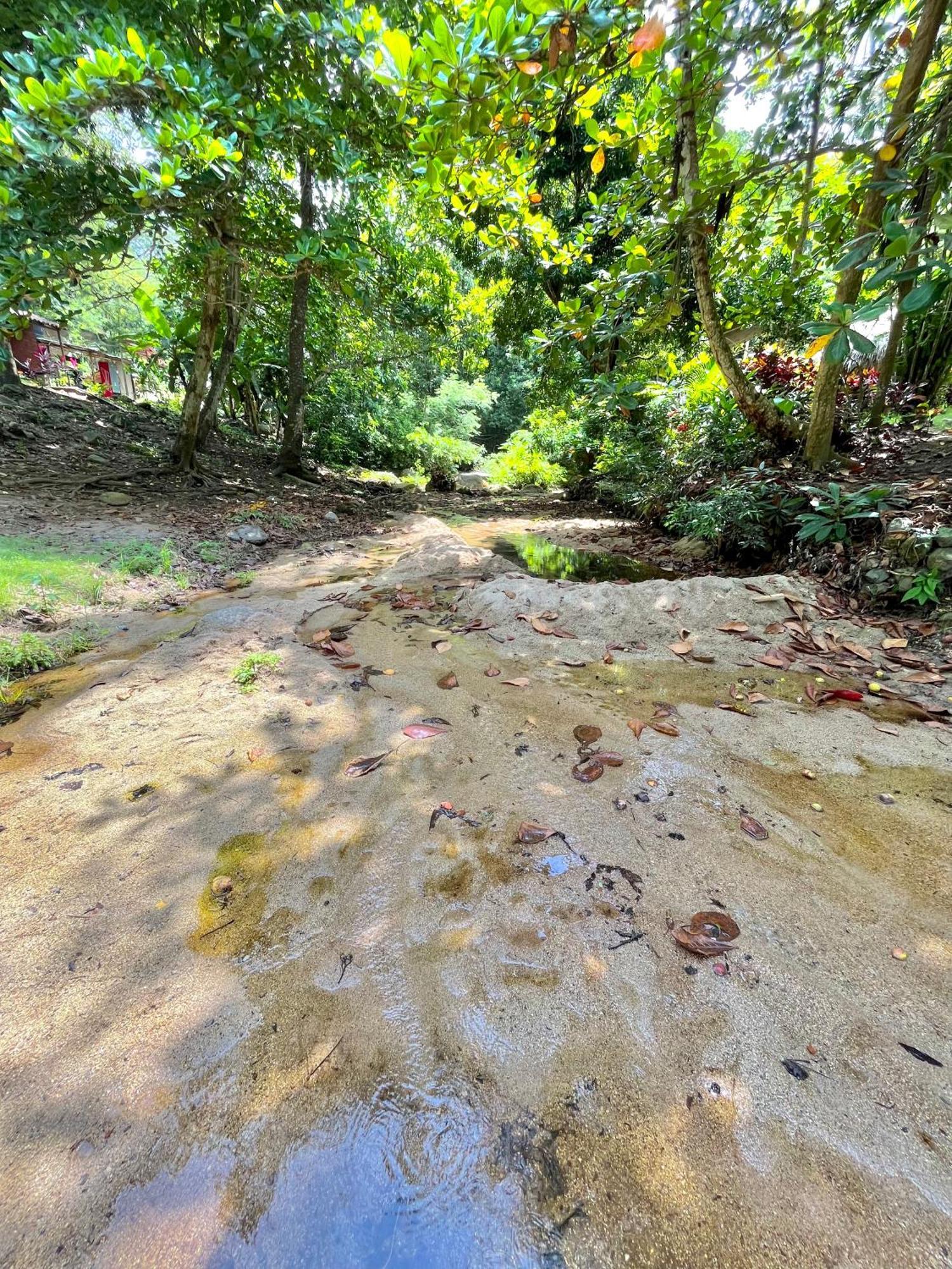 Calabazo  Santuario Tayrona Hostel מראה חיצוני תמונה