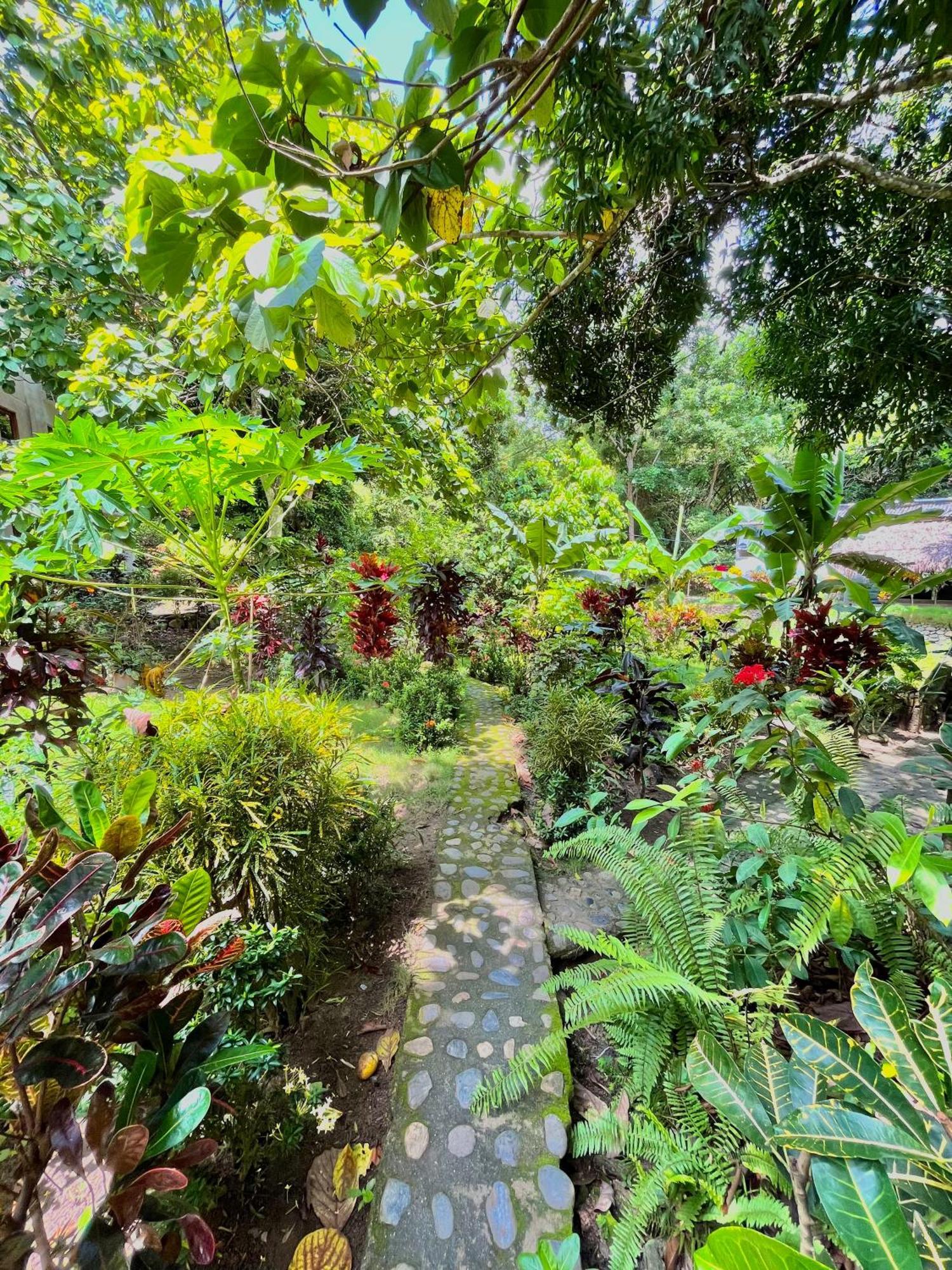 Calabazo  Santuario Tayrona Hostel מראה חיצוני תמונה