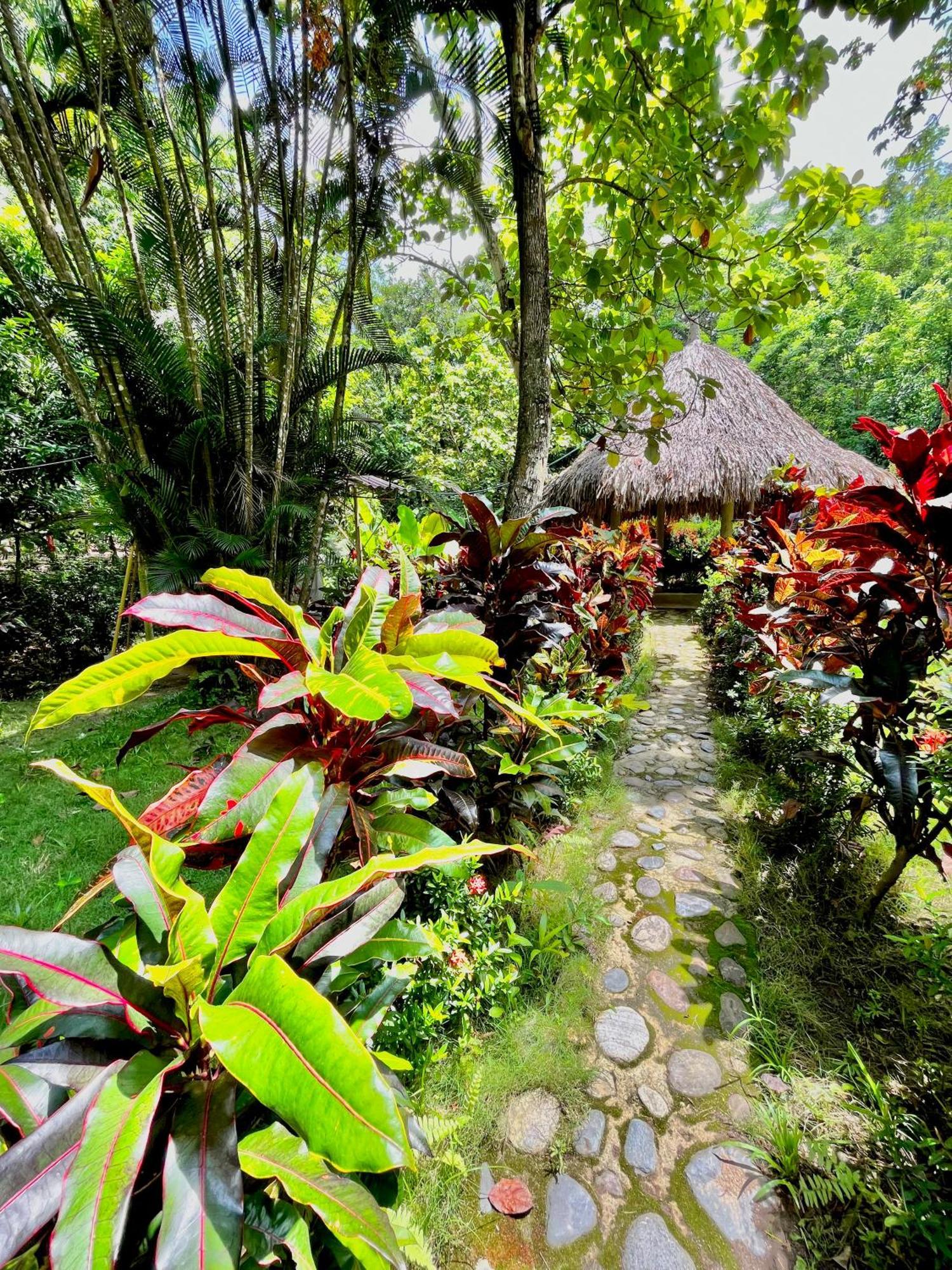 Calabazo  Santuario Tayrona Hostel מראה חיצוני תמונה