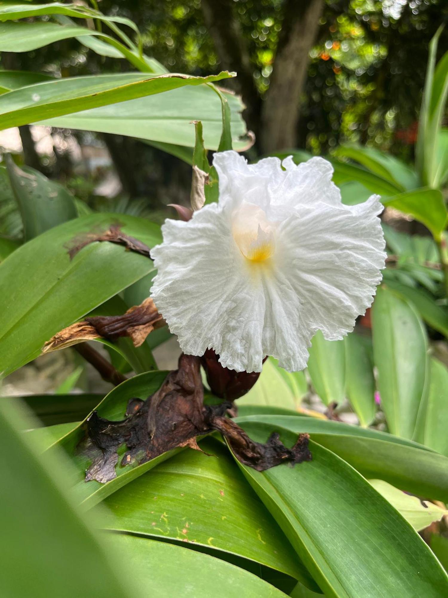 Calabazo  Santuario Tayrona Hostel מראה חיצוני תמונה